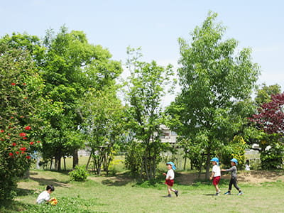 季節ごとに豊かな自然を身近に感じられる森